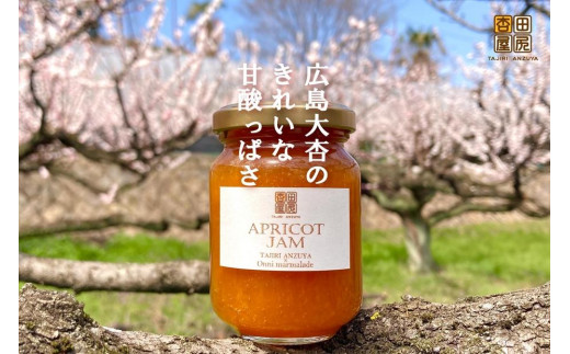 ジャム 田尻あんずのアプリコットジャム 120g 3個入り 広島県福山市/田尻杏屋 あんず アプリコット 杏 フルーツ 果物 [BAEK001]