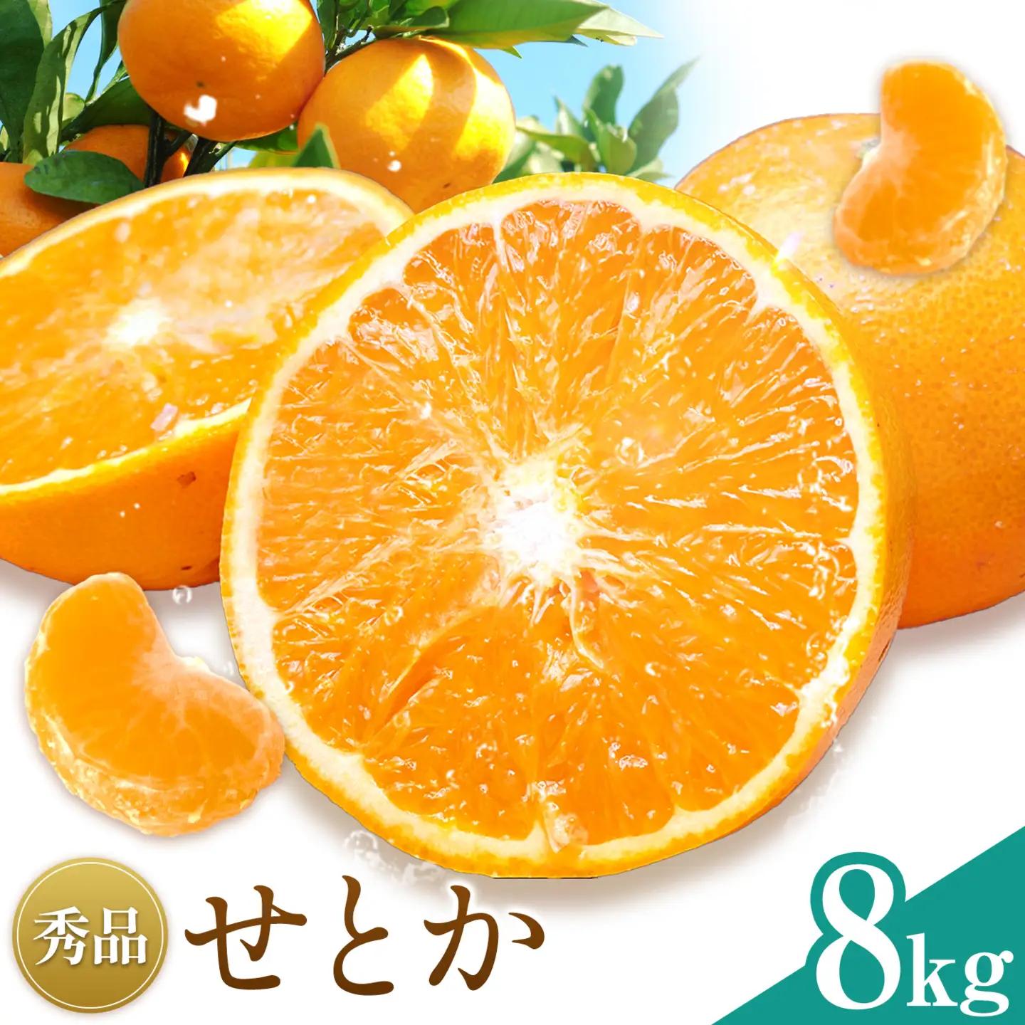 せとか 秀品 8kg(32-36玉前後) 