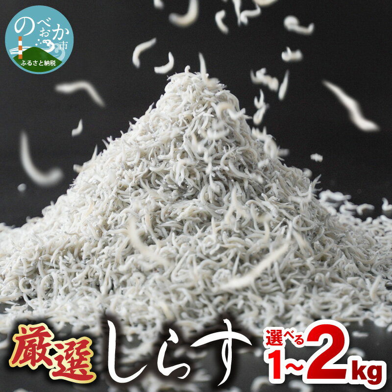【ふるさと納税】厳選 しらす 選べる 容量 1kg 2kg 宮崎産 新鮮 ご飯のお供 しらす丼 天然 自然の味 栄養 カルシウム ビタミン しらす丼 お取り寄せ お取り寄せグルメ 日向灘産 魚介 冷凍 食品 宮崎県 延岡産 送料無料