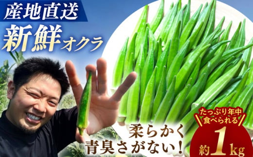 【☆先行予約☆】 オクラ 約 1kg   おくら オクラ 野菜 夏野菜 新鮮 やさい おくら 贈答 ＜パッパラパー農園＞ [CFI001]