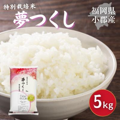 ふるさと納税 小郡市 特別栽培米 福岡県 小郡産 夢つくし 5kg 米 お米[No5354-2295]