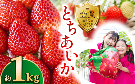 【先行予約】とちあいか約1kg | 送料無料 とちあいか いちご フルーツ 甘い ジューシー苺 ｲﾁｺﾞ ハート ハート型 ﾊｰﾄ 断面 果物 おいしい 栃木県 下野市