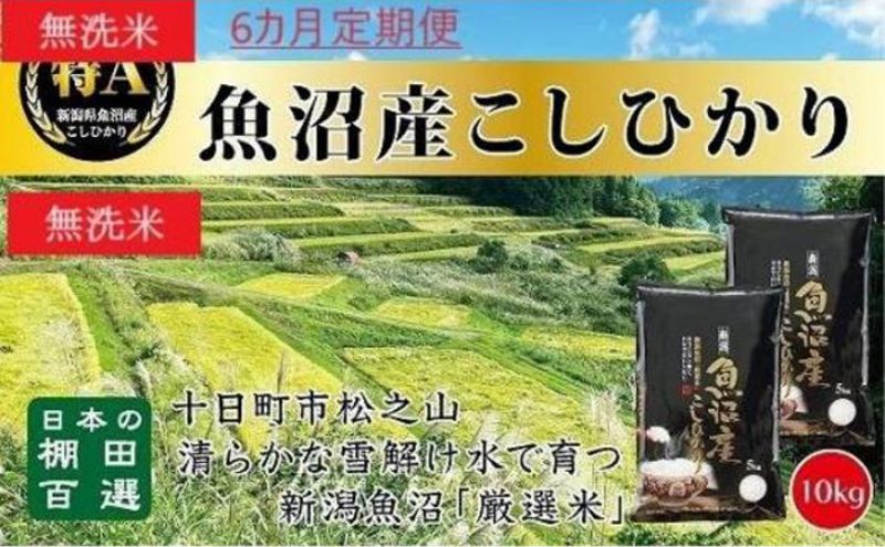 【令和8年産 先行予約】無洗米「6カ月定期便」日本棚田百選のお米 天空の里・魚沼産こしひかり １０ｋｇ(５ｋｇ×２)×６回 白米 安心 安全 こだわり