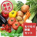 【ふるさと納税】野菜 やさい セット 滝沢もりもり野菜セット (8～12品) 果物 加工品 詰合せ 詰め合わせ 産直 チャグチャグ 旬 季節の野菜 地場産品 名産 ジュニア野菜ソムリエ 産地直送 【滝沢産業開発】岩手県 滝沢市 送料無料