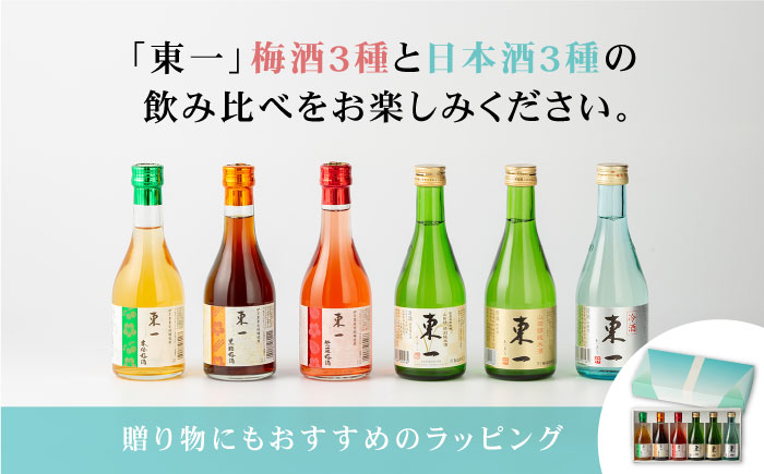 東一 飲み比べセットA (梅酒・日本酒) 300ml6本 【嬉野酒店】 NBQ009