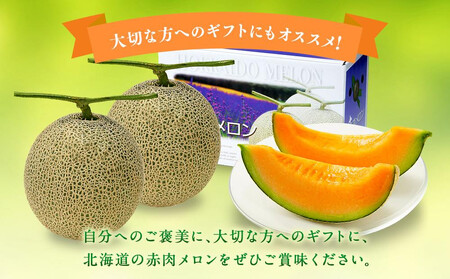【先行予約】旭川発！北海道の赤肉メロン1玉（1玉標準 1.3kg以上）(2025年6月下旬より発送開始予定) _05230