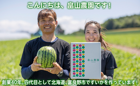 【先行予約】 2026年《収穫次第順次発送》  富良野市産 スナップえんどう 1kg 野菜 旬 新鮮 富良野 エンドウ 豆 スナックエンドウ スナップ えんどう豆 ふらの 畠山農園