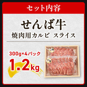 せんば牛カルビ焼肉用スライス 300g×4パック(約10人前分) 牛カルビ 牛カルビ 牛カルビ 牛カルビ 牛カルビ 牛カルビ