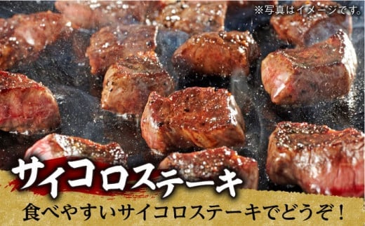 NA59 【全2回定期便】超入手困難！大人気フィレ肉！長崎和牛ヒレステー-4