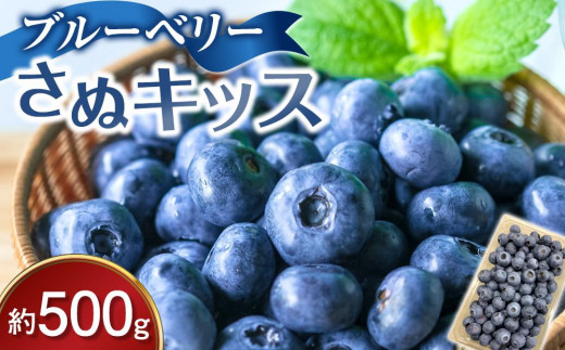 
                  ブルーベリー さぬキッス 約500g
                