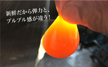 【毎月40個×6回定期便】まつもとたまご＆平飼いたまご 計240個＜松本養鶏場＞ [CCD023]