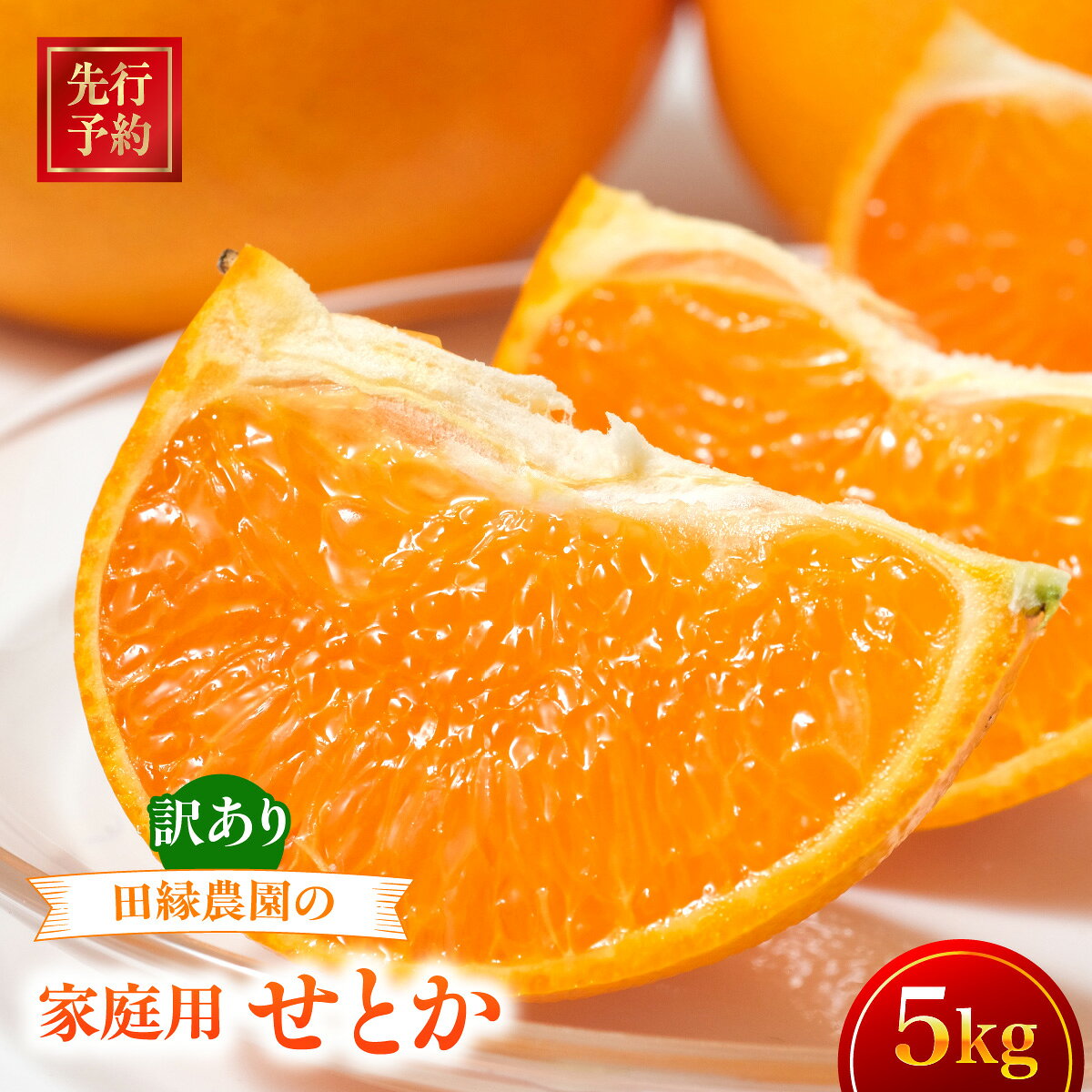 【ふるさと納税】【先行予約】【家庭用】せとか 5kg ※離島への配送不可 （2027年3月5日より順次発送） 【ふるさと納税 人気 おすすめ ランキング みかん ミカン 蜜柑 せとか フルーツ 果物 愛媛県産 田縁農園 愛媛県 伊方町 送料無料】 IKTA037
