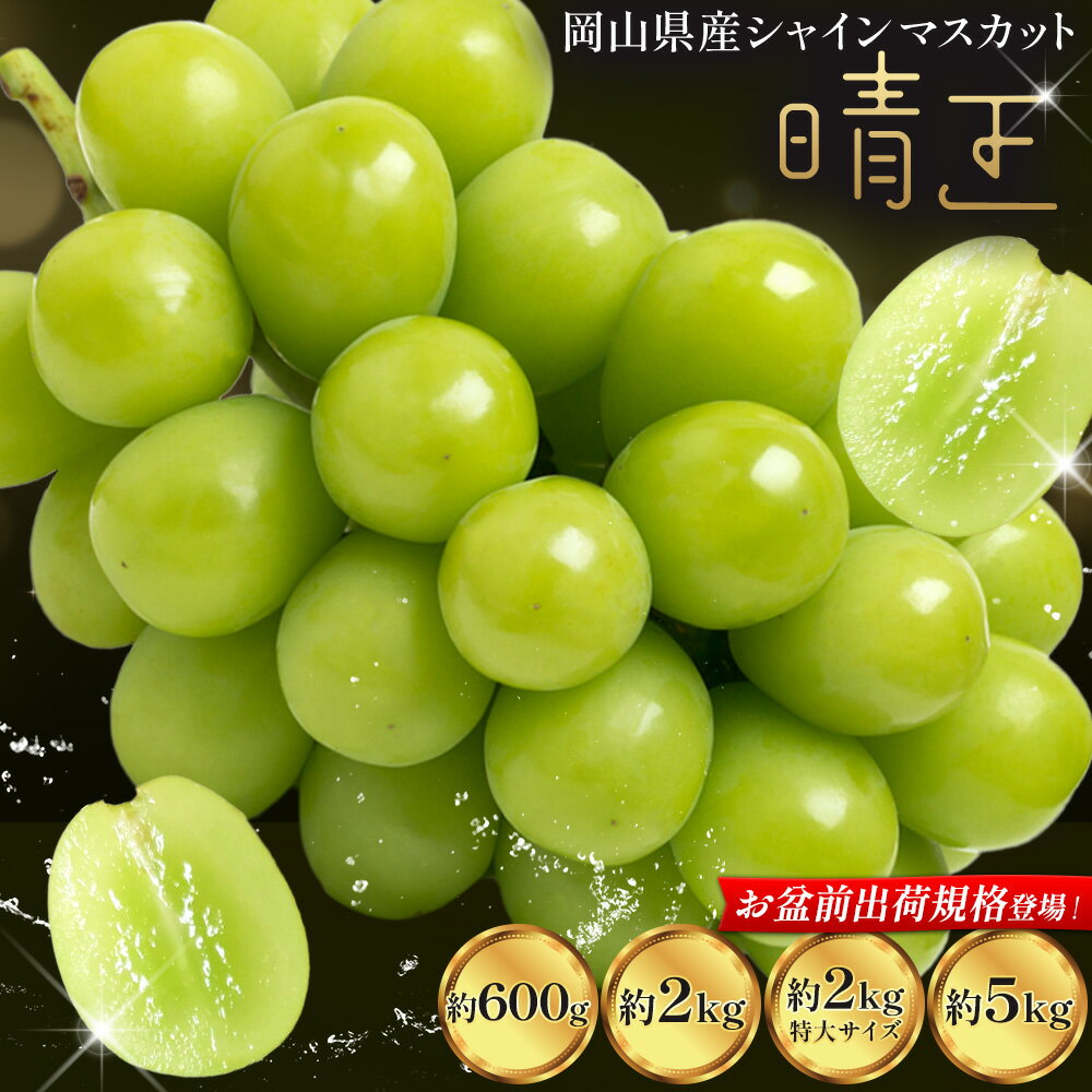 【ふるさと納税】【2026年先行予約】 フルーツ 果物 マスカット 岡山県産 シャインマスカット ぶどう 晴王 約 2kg(2房 ~ 5房) 約 5kg (5房 ~ 9房) 特大 2kg 《8月上旬-11月下旬頃出荷》土方商店 岡山県 備前市 葡萄 送料無料 大粒 シャイン