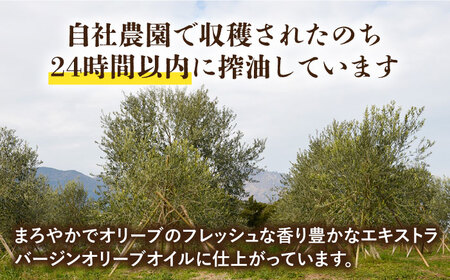 （6回定期便）【国産 手摘み 100% 】南島原産 オリーブオイル  S島原  / 南島原市 / ふるさと企画[SBA065]