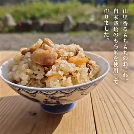 山里のとり肉おこわ(4パックセット)【配送不可地域：離島】【1577688】