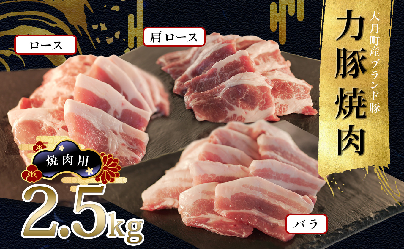 
【高知県 大月町産ブランド豚】力豚焼き肉2.5kgセット
