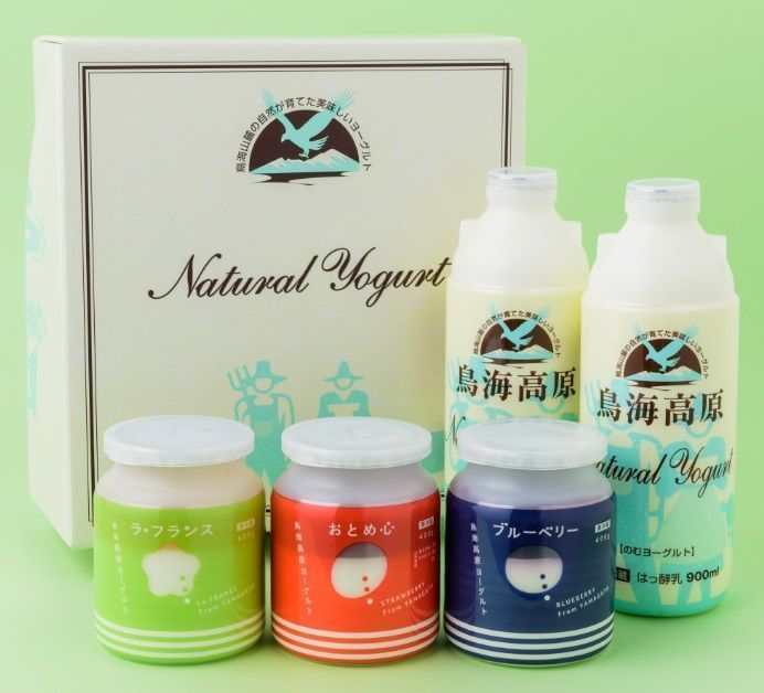SA1814　鳥海高原ヨーグルトＦセット