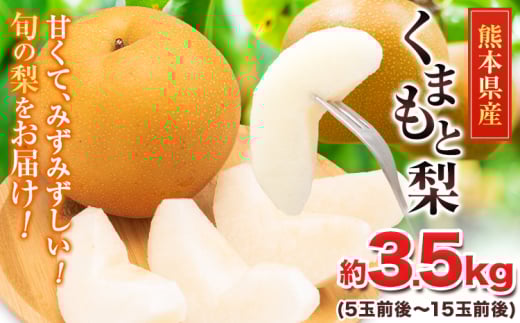 【2026年先行予約 】くまもと梨 梨 秋 旬 なし 幸水 豊水 先行 果物 くだもの フルーツ ナシ 梨 先行予約 送料無料 あきづき 甘太 新高 新興 約3.5kg 5玉～15玉前後 熊本県産【着日指定不可】《2026年8月下旬-11月中旬頃出荷》旬 果物 お取り寄せ