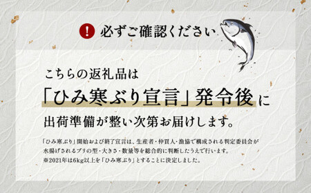 ＜先行予約＞ 【魚問屋直送】天然「生ひみ寒ぶり」刺身用 約400g＜アラ付き＞ 