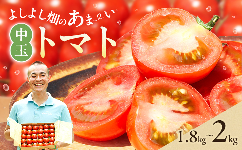 よしよし畑のあま～い トマト ( 中玉トマト ) 1.8kg ～ 2kg 程度 新鮮 産地直送  とまと おいしい おすすめ ギフト お取り寄せ