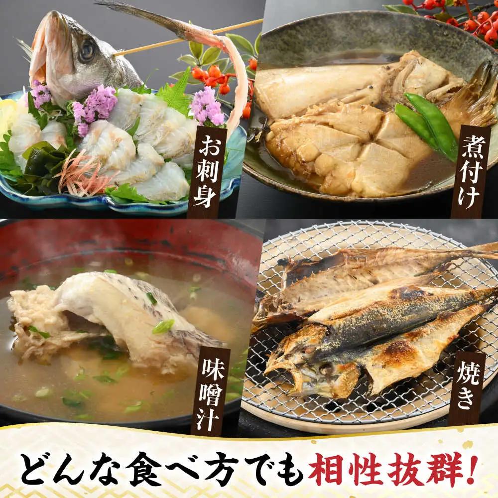 【加福鮮魚】「若狭小浜湾産地直送」旬の天然鮮魚お任せセット！ 計2kg以上 地魚 下処理済み 刺身 煮魚 小浜市 / 加福鮮魚【配送不可地域：北海道、北東北（秋田、青森、岩手）、九州、沖縄、離島】  