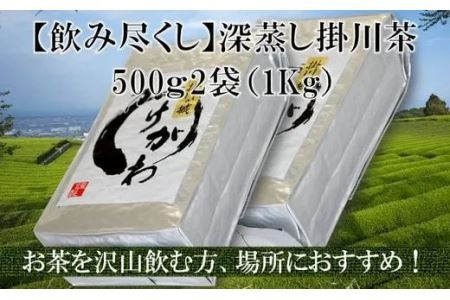 深蒸し掛川茶飲み尽くし用セット 500ｇ × 2袋 計1Kｇ 美笠園 深蒸し茶 2036