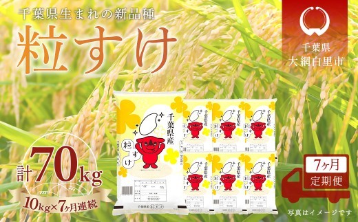
                  ＜7か月定期便＞ 千葉県産「粒すけ」精米 10kg×7か月連続 計70kg
                