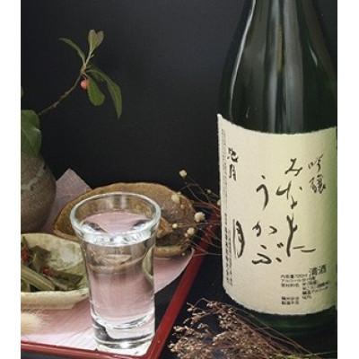 ふるさと納税 中能登町 【鳥屋酒造】「吟醸みなもにうかぶ月(720ml)」と「純米酒　眉丈山(720ml)」飲み比べセット