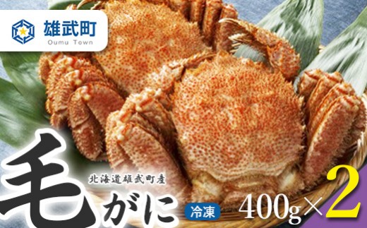 北海道雄武町産　毛がに（冷凍）(400g×2)【1240102】