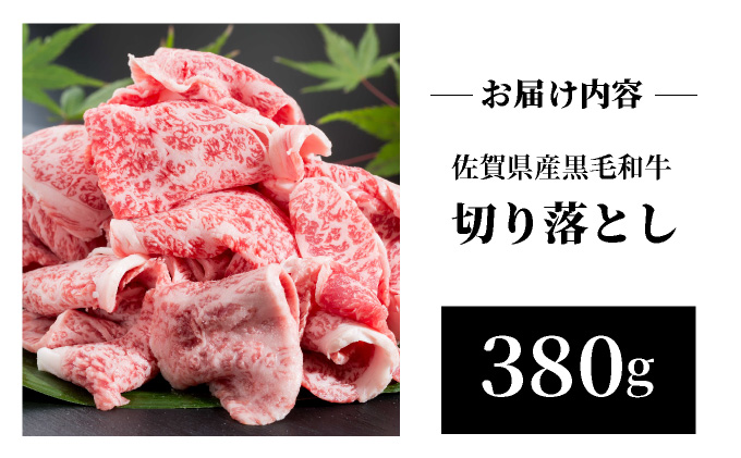 佐賀牛切落し380g 【42yc-011】