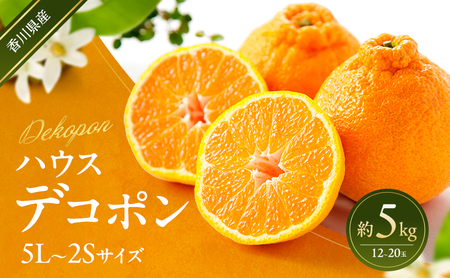 ハウスデコポン 約5kg デコポン でこぽん 柑橘 フルーツ 果物 くだもの 果実 旬の果物 旬のフルーツ 香川 香川県 東かがわ市