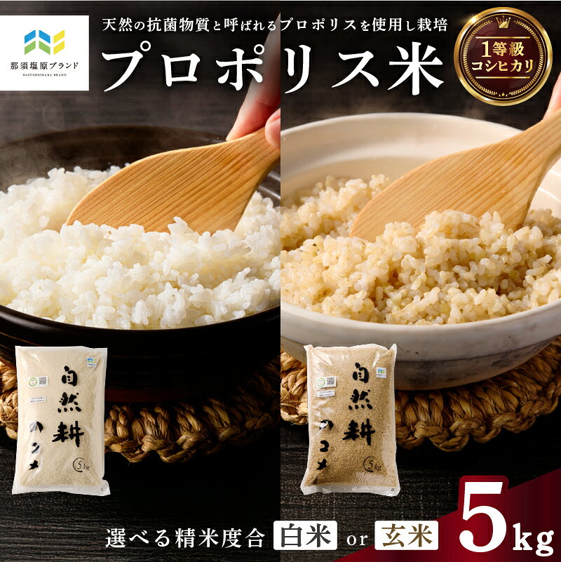 【ふるさと納税】【選べる精米度合】プロポリス米(1等級コシヒカリ) 5kg【令和6年度産米】【那須塩原ブランド認定品】 米 栃木県 那須塩原市 天然の抗菌物質 商標登録済 特産 粒が大きい 真空パック ごはん 送料無料