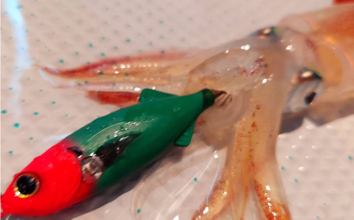 鯵助60mm3点アソートセット 釣具 釣り用品 海釣り 岐阜市 / ジークラック [ANIG004]