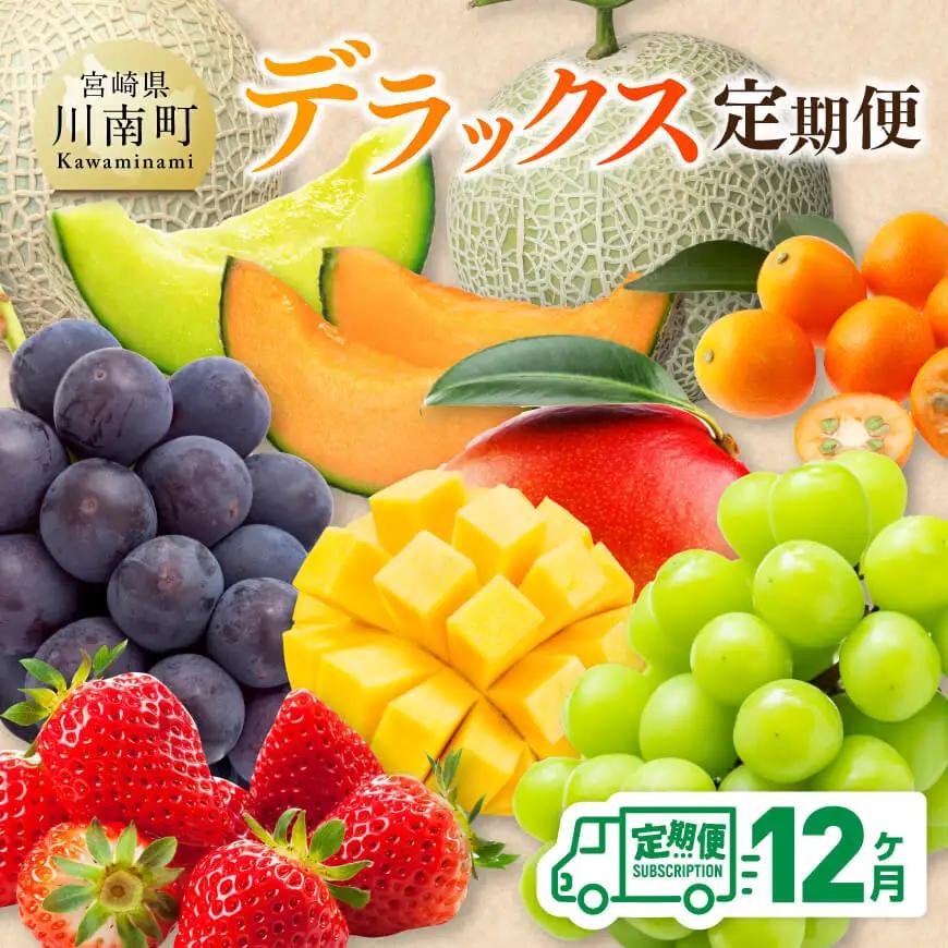 【 12ヶ月定期便 】 デラックス 定期便 【 川南町産 くだもの きんかん いちご 完熟 マンゴー ぶどう ピオーネ シャイン マスカット 大玉 メロン 】