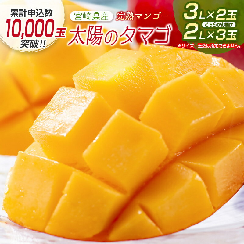 【ふるさと納税】宮崎県産 完熟マンゴー『太陽のタマゴ』（2L×3又は3L×2）西都市特産品【数量限定】西都市産＜3-48＞ 果物 フルーツ 先行予約