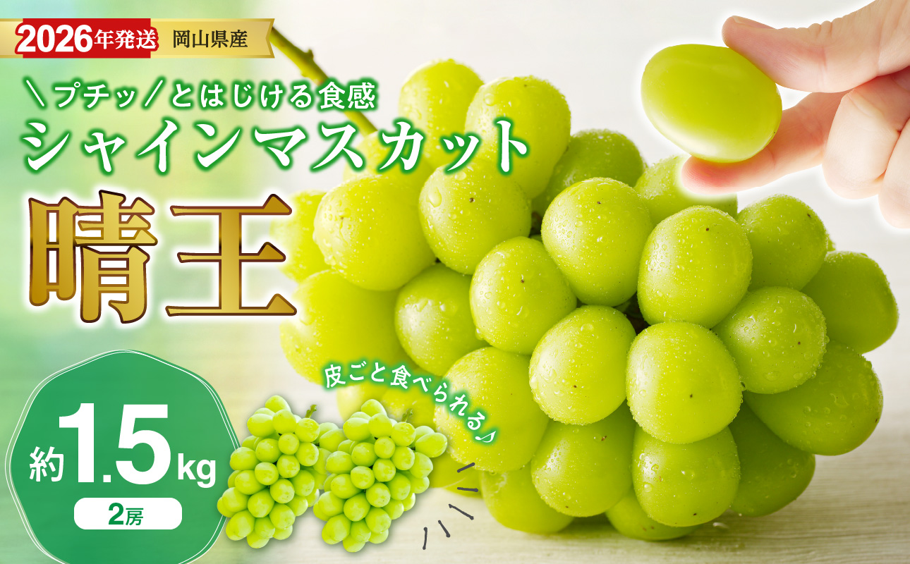 【2026年発送分 先行受付スタート！】岡山県産シャインマスカット「晴王」秀品　約1.5kg（2房）（令和8年8月中旬～11月中旬頃発送）【 シャインマスカット 晴王 フルーツ 果物 くだもの 葡萄 