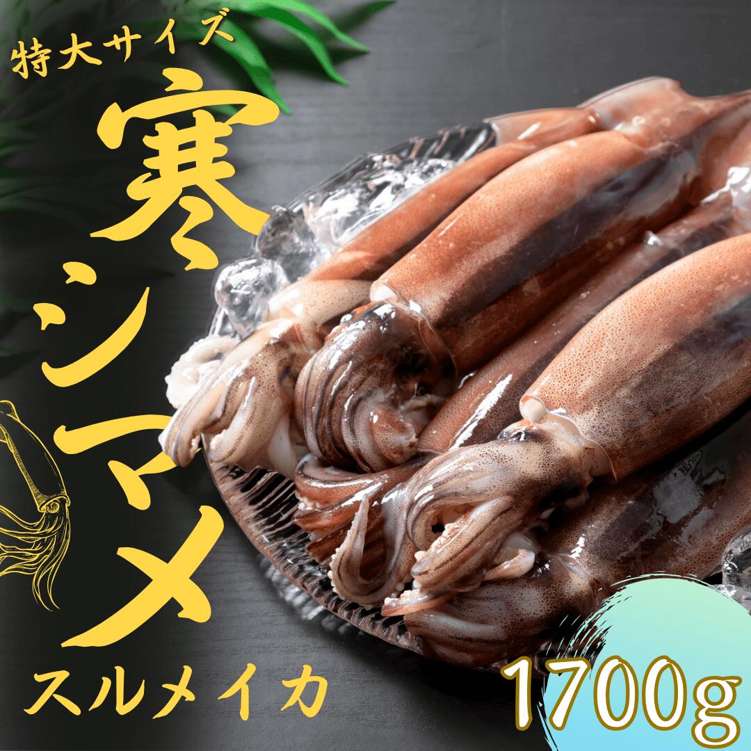 【ふるさと納税】朝どれ寒シマメ　スルメイカ【特大】 1.7kg以上 5～6杯 いか イカ スルメイカ CAS CAS冷凍 年末年始 お正月 お歳暮 御歳暮 ギフト 12月24日までのご注文で年内発送