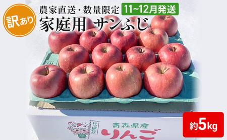 【 農家直送 数量限定 】 11～12月発送 家庭用 サンふじ 約 5kg 【 訳あり 】  果物 フルーツ 青森りんご シャキシャキ 