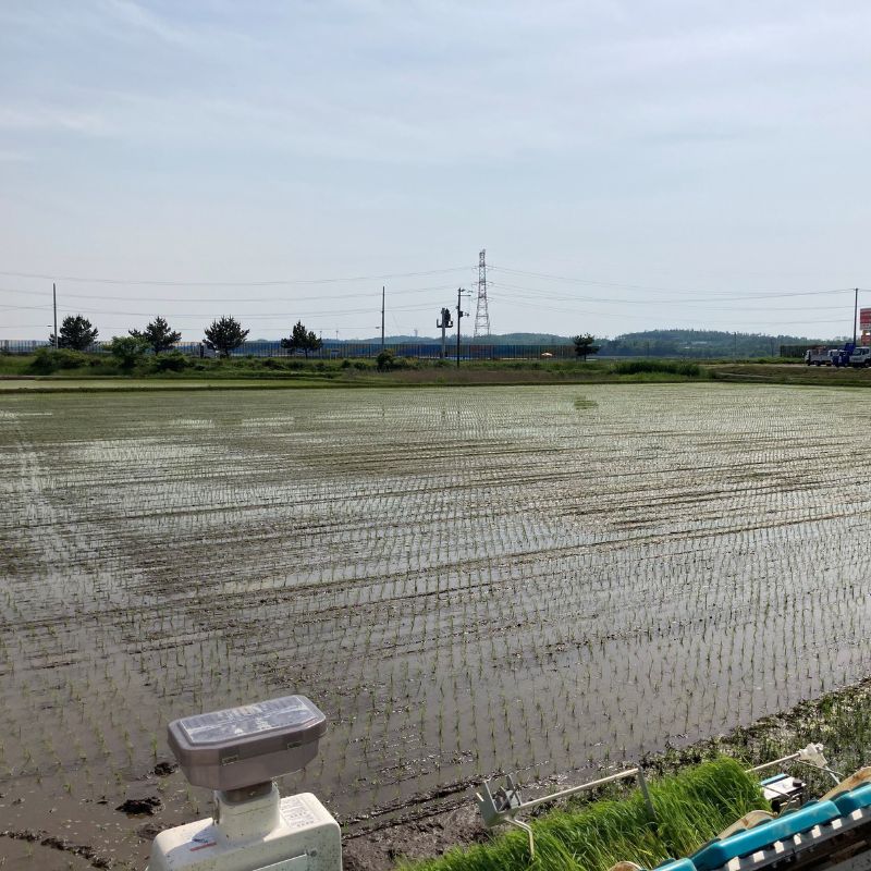 《定期便3ヶ月》玄米 農家直送！うまい!! 本場のあきたこまち 30kg×3回 合計90kg ご飯 ブランド米 おにぎり 令和7年産 産地直送 おこめ ごはん 秋田県 秋田 能代市