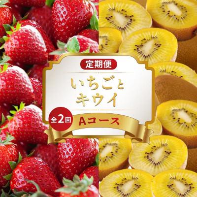 ふるさと納税 丸亀市 【発送月固定定期便】フルーツ定期便 Aコース(いちご  キウイ) 香川県 丸亀市全2回