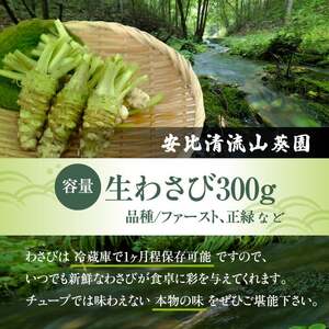 岩手県産 生わさび 300g 【安比清流山葵園】 ／ 山葵 ワサビ わさび 薬味 国産 八幡平市産 産地直送 新鮮 調味料 刺身 ステーキ お肉 蕎麦 和え物 漬け物 刻み おろし 辛味 和食 お寿司