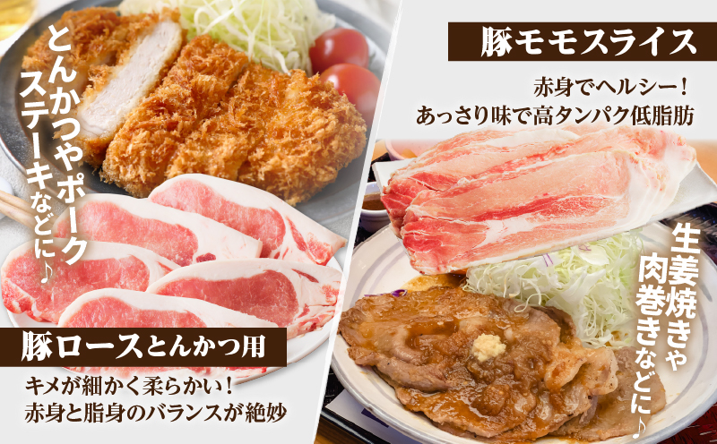 ≪宮崎県産≫豚肉6種＼てげスゲーセット／合計3kg 肉 豚 豚肉 おかず 国産_T009-031【人気 ギフト 食品 お肉 しゃぶしゃぶ 贈り物 お土産 送料無料 プレゼント】