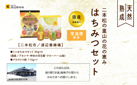  はちみつセットA 4種のはちみつ各50g入りセット【道の駅 安達】