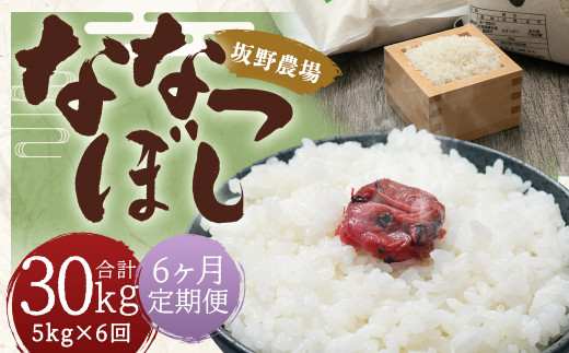 【2026年10月上旬発送開始予定】【6ヶ月定期便】らんこし米 ななつぼし約5kg