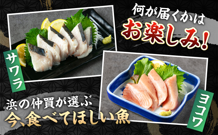 ★お中元 配送★＼壱岐島勝本漁港直送！／島の刺身セット 松コース（150g×6パック） 《壱岐市》【あかりや】 お刺身 刺し盛り 刺盛り 鮮魚 海鮮 海鮮丼 お造り 小分け タイ マグロ カツオ イカ