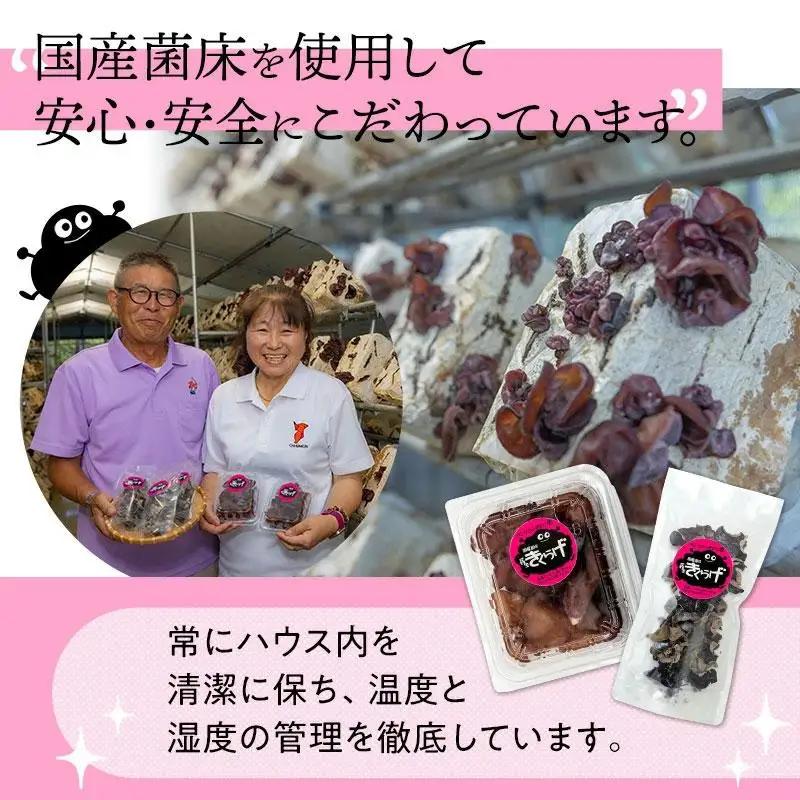 U01-001 生きくらげ