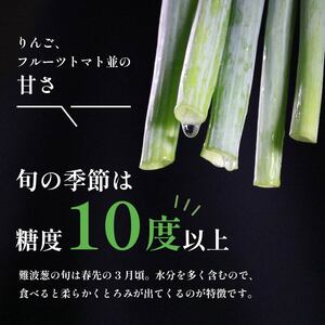 《先行予約》《年内発送》12月配送 幻のねぎ 難波葱 2kg ねぎ 葱 鍋 青ねぎ 白ねぎ 野菜 旬 やさい 産地直送 採れたて 直送 フルーツ 果物 と同糖度 なにわ 伝統野菜 鍋セット 河内 大阪