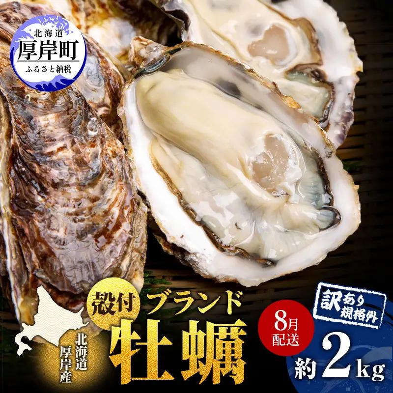 8月配送 訳あり 厚岸産牡蠣 約2kg 規格外 ブランド牡蠣