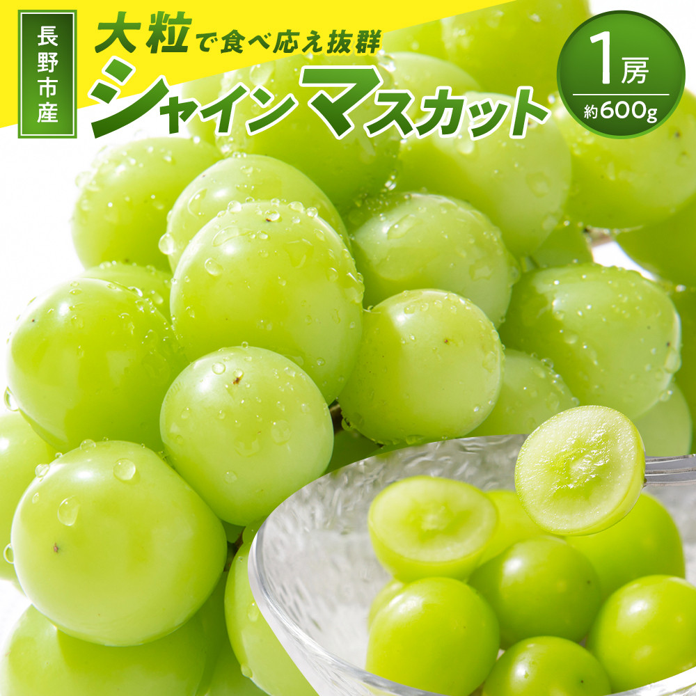 2026年産 ぶどう  長野市産 シャインマスカット ビックサイズ 一房入り 600g以上 葡萄 ブドウ 果物 フルーツ デザート おやつ 信州 大房 大粒 上品な香り |  ぶどう シャインマスカッ