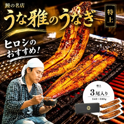 ヒロシのおすすめ!鰻の名店『うな雅』国産 手焼き 鰻【特上】かば焼き 3尾 540g〜580g【配送不可地域：離島】【1600557】
